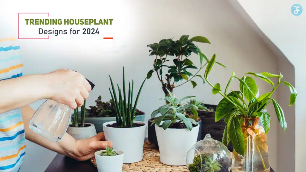 Trending Houseplant Designs for 2024