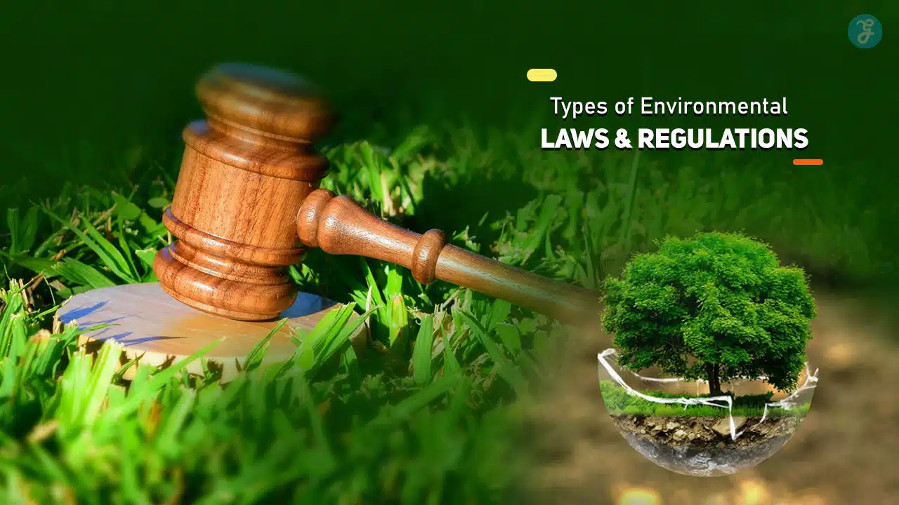 Types of Environmental Laws and Regulations