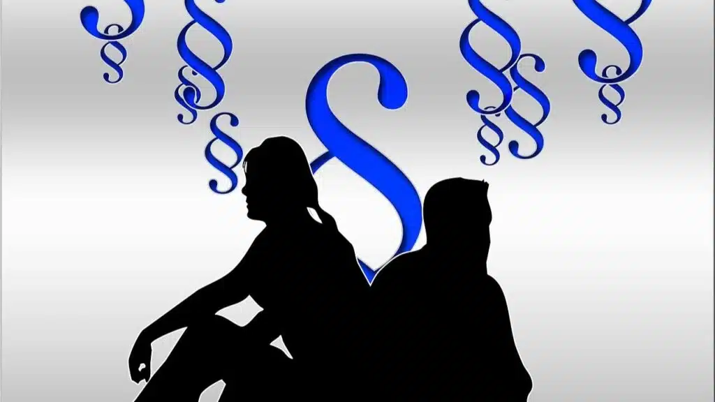 Understanding the Basics of Family Law