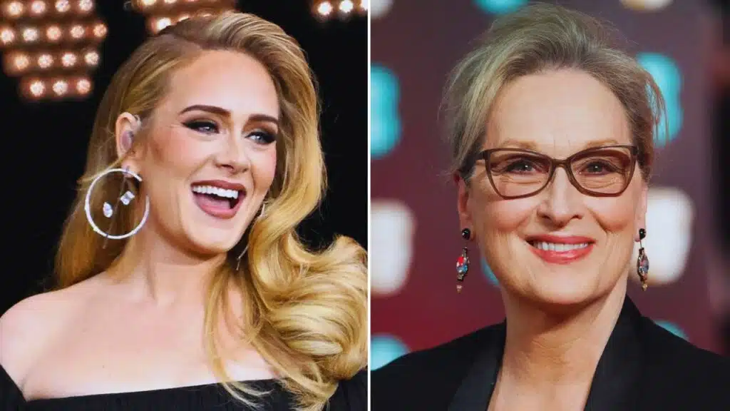 adele meryl streep moment after celine dion tribute