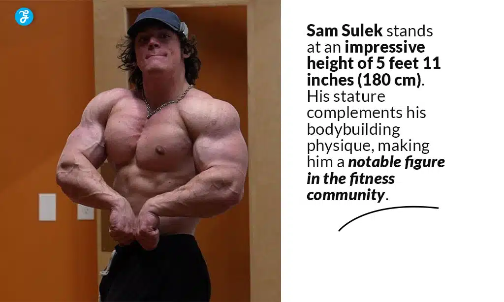 the height of sam sulek