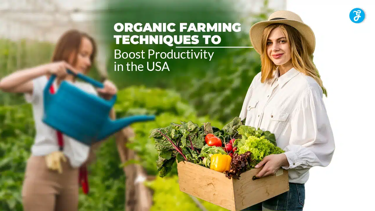 Organic Farming Techniques