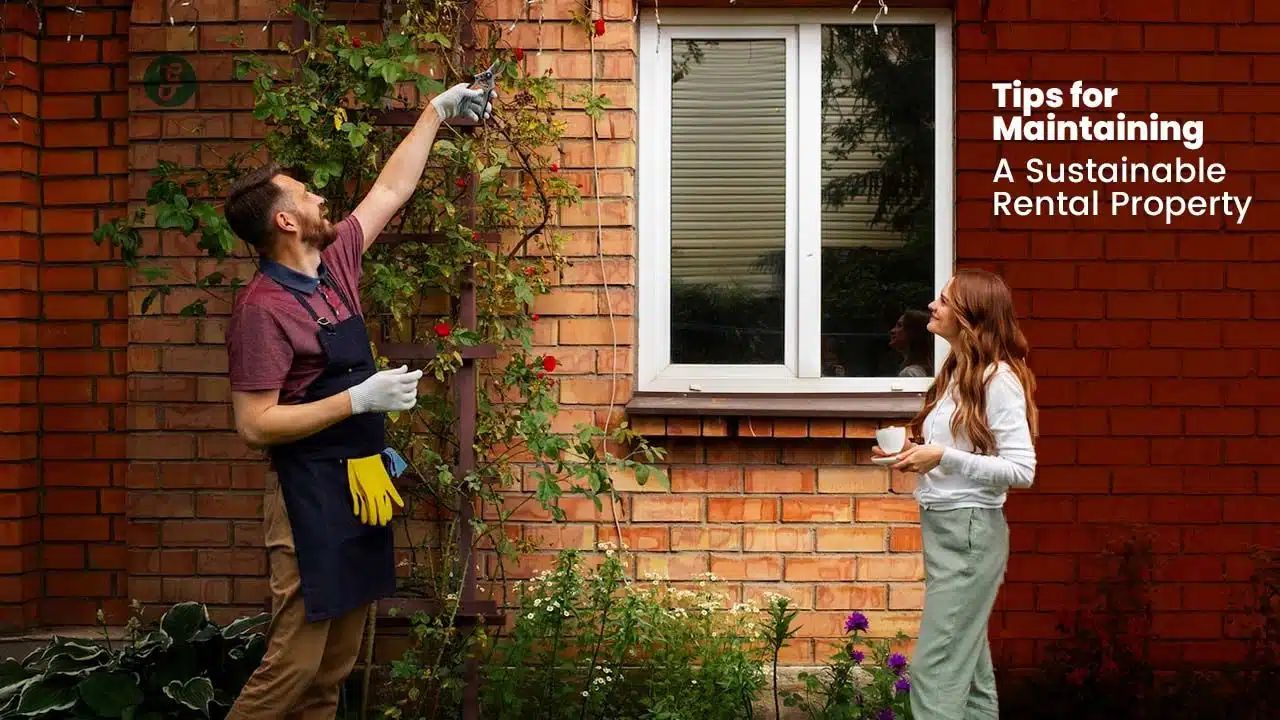 tips for maintaining a sustainable rental property