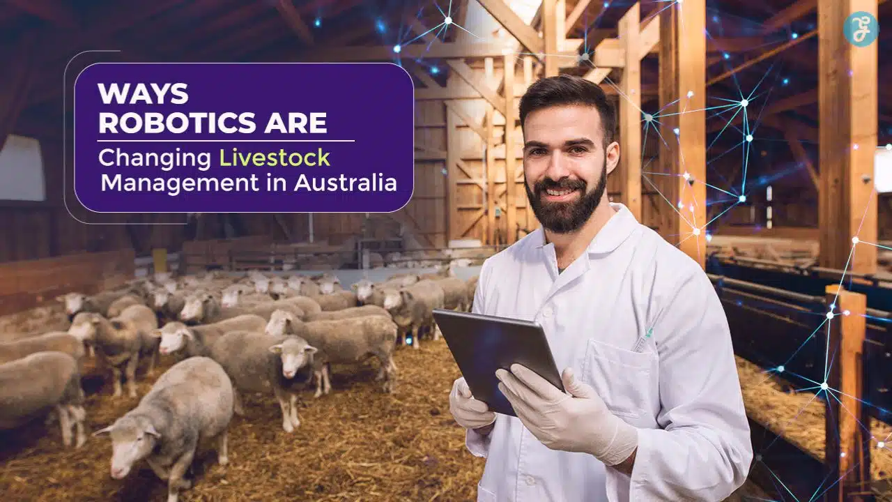 Livestock Management in Australia