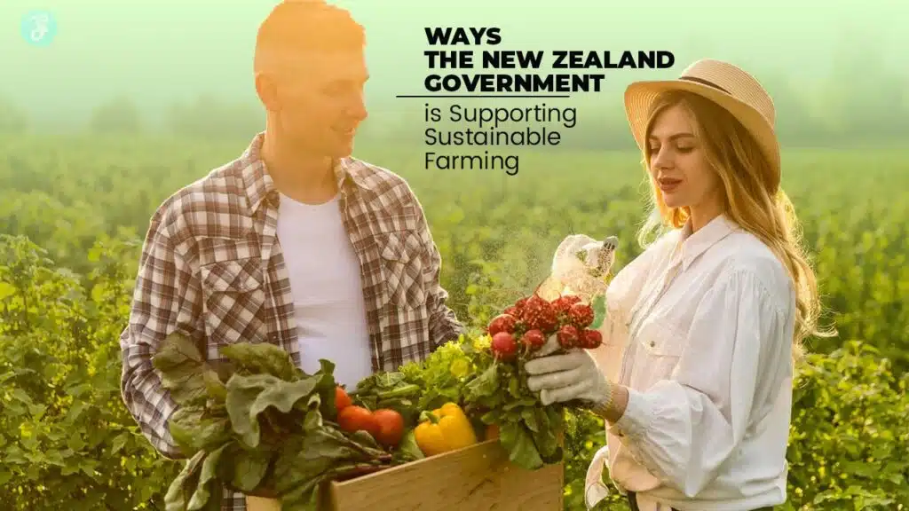 Sustainable Farming in New Zealand