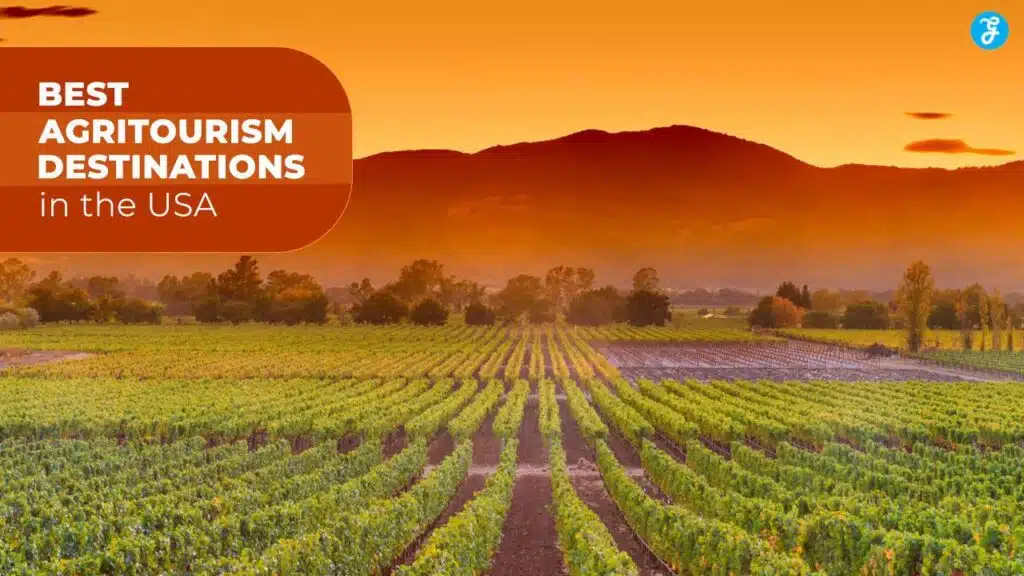 Best agritourism destinations in the USA