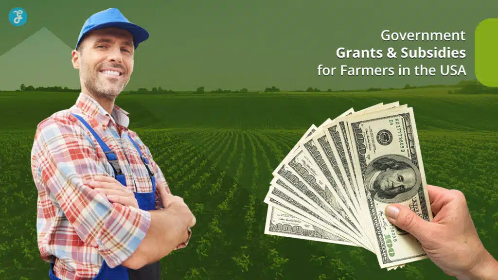 Government Grants and Subsidies for Farmers in the USA