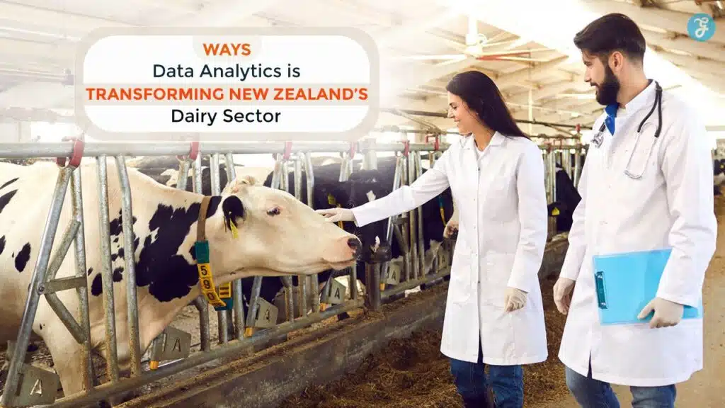 Data Analytics In New Zealand Dairy