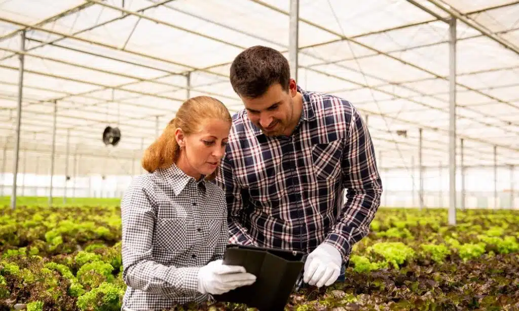 Australian Agritech Startups