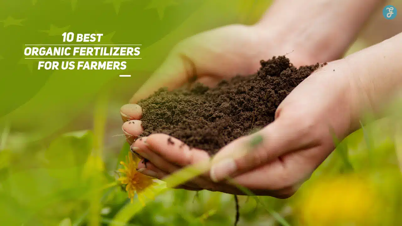 Best Organic Fertilizers for US Farmers