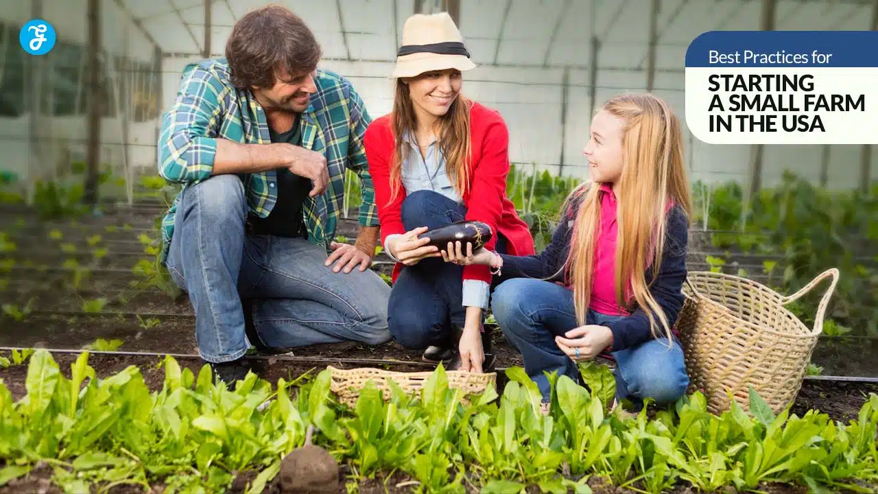 Best practices for starting a small farm in the USA