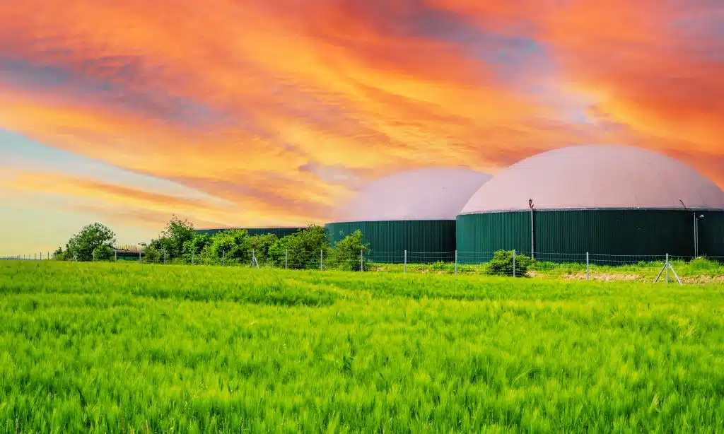 Biomass Energy Converting Waste to Wealth