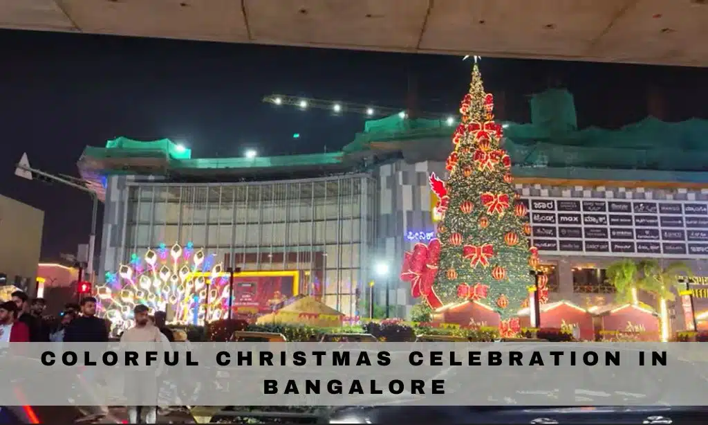 Colorful Christmas Celebration in Bangalore