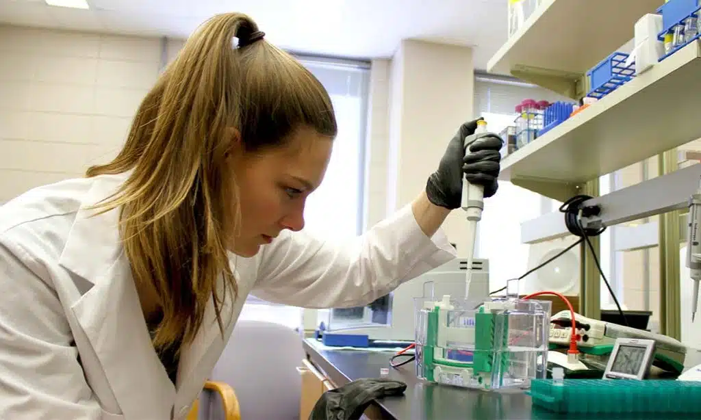 Universities offering agricultural degrees in the USA