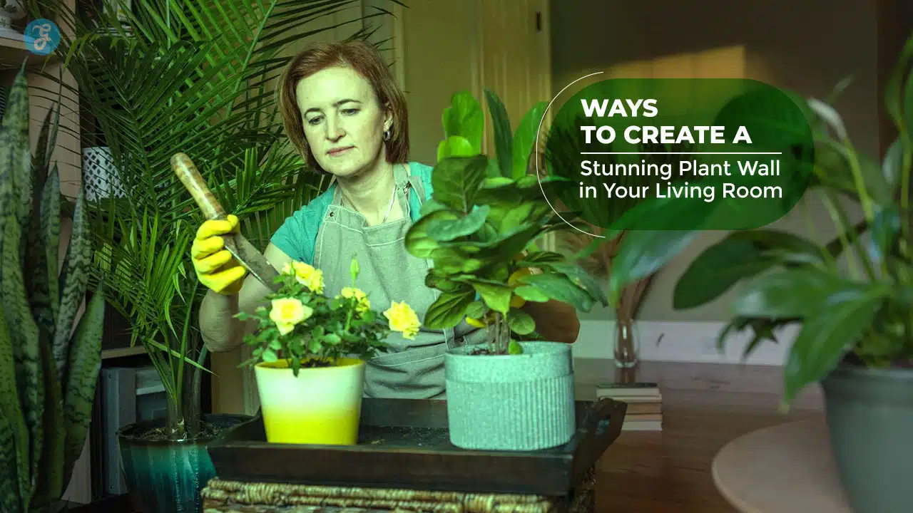 Create a Stunning Plant Wall in Your Living Room
