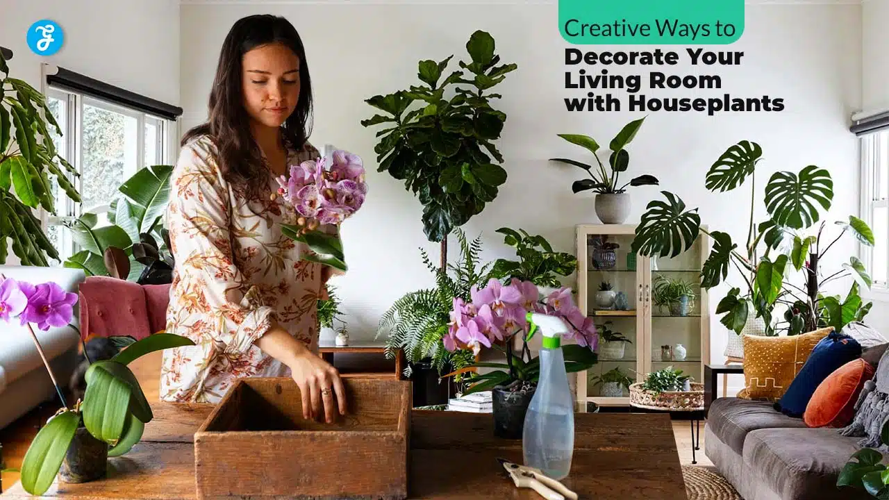 Decorate Your Living Room with Houseplants