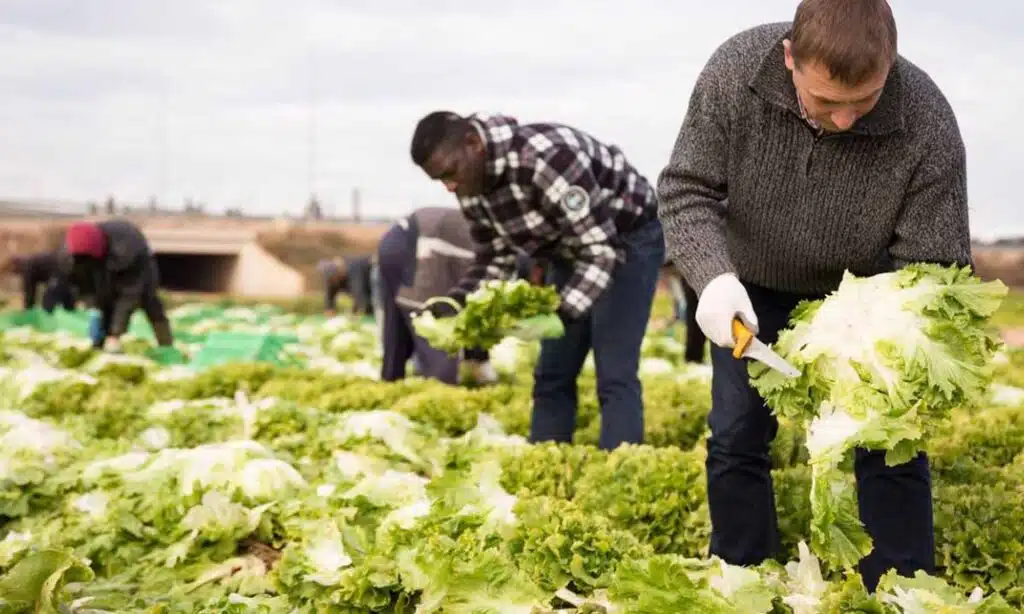 Dairy Flat Farm, Victoria