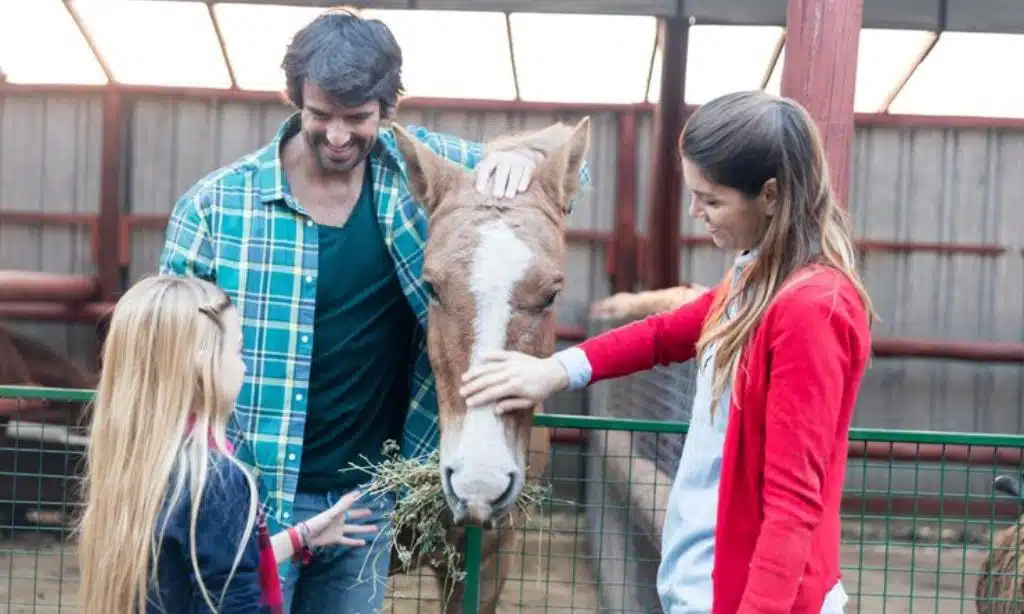 Government grants and subsidies for farmers in the USA