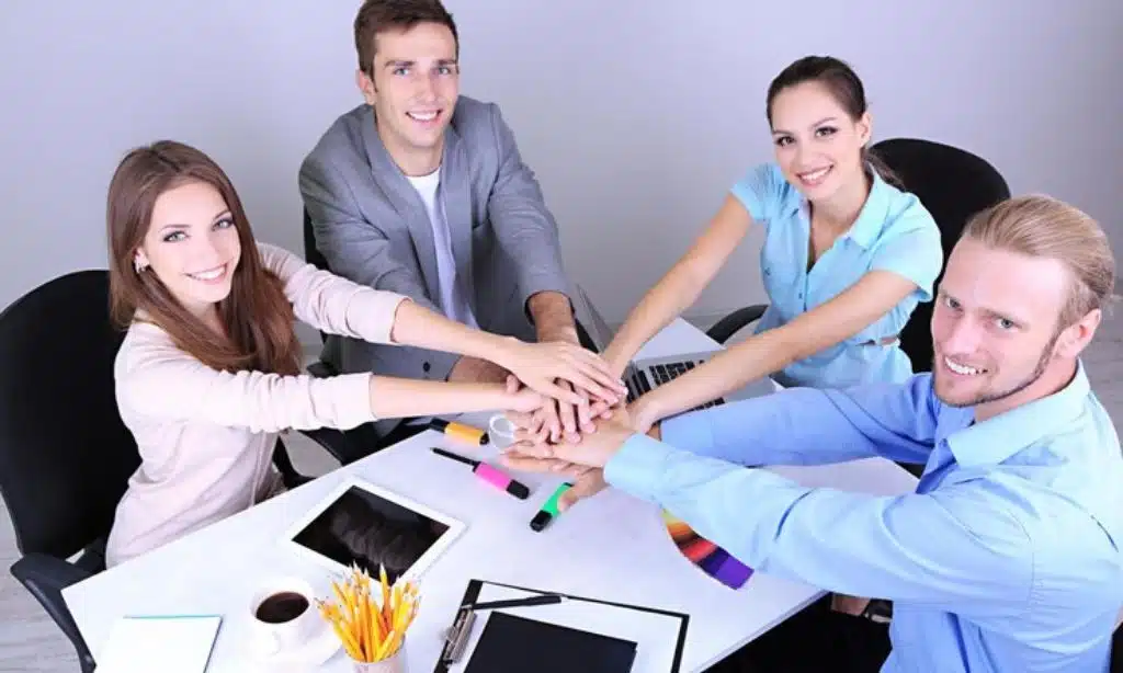 Empowering Team Collaboration in an Office in New Zealand