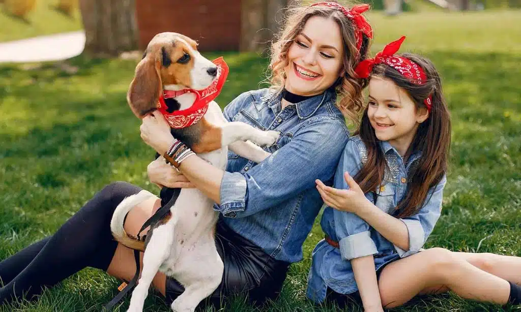 Ways to socialize your pet