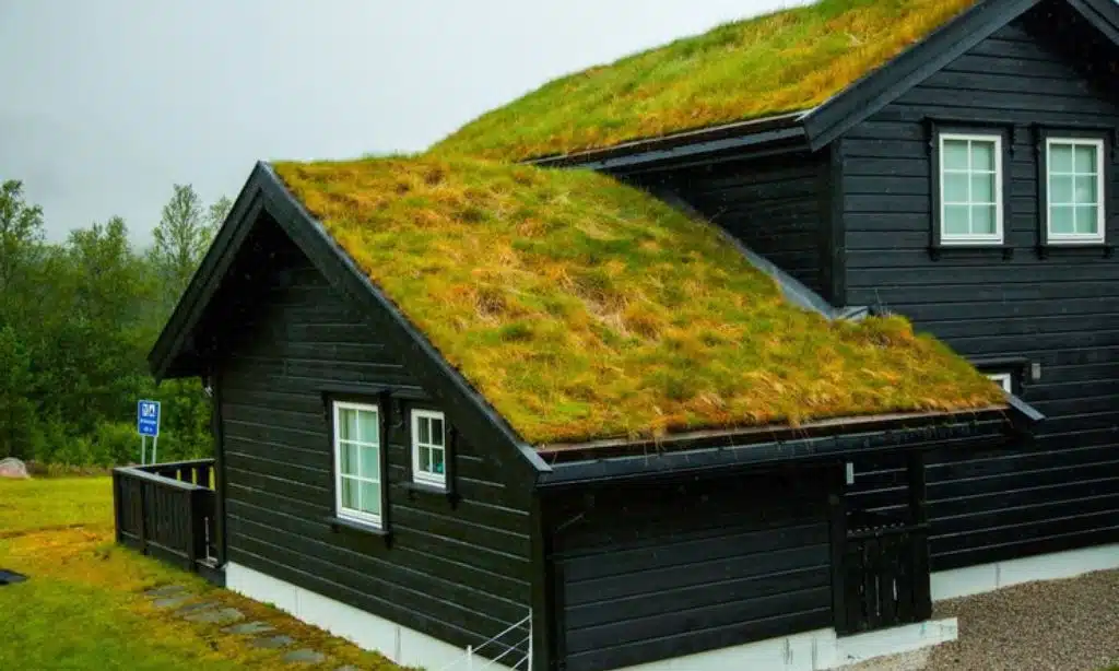 Green Roofs