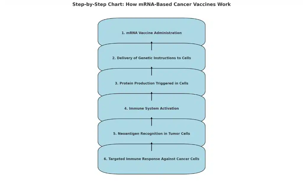 How mRNA Based Cancer Vaccines Work