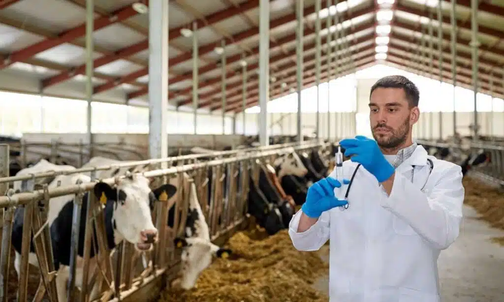 Data Analytics In New Zealand Dairy