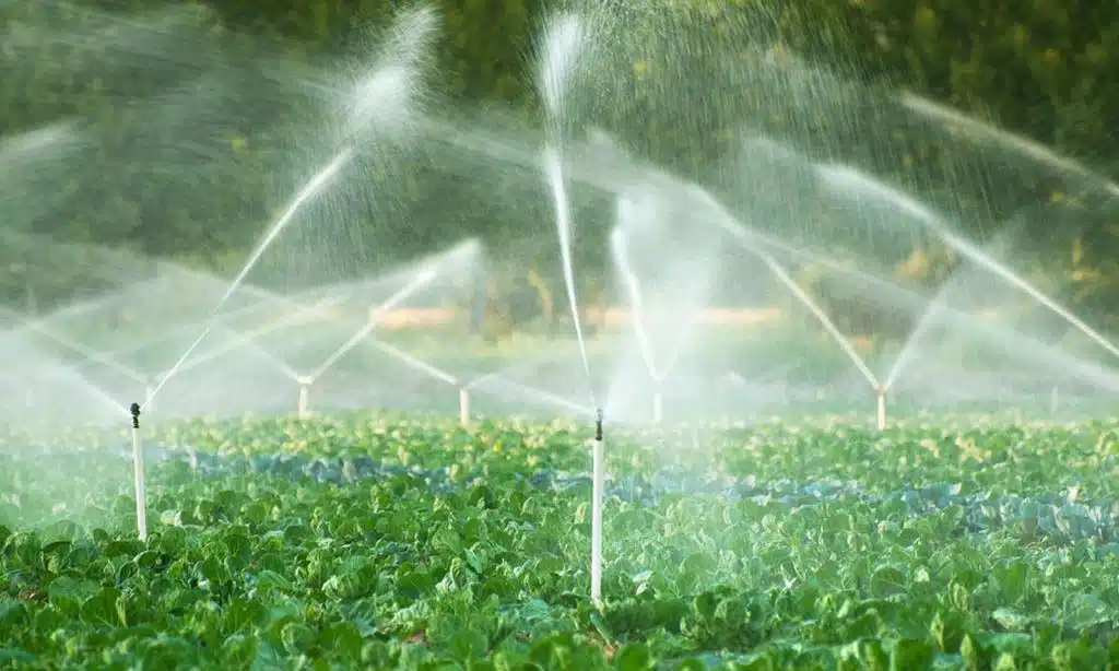 Irrigation Management Systems
