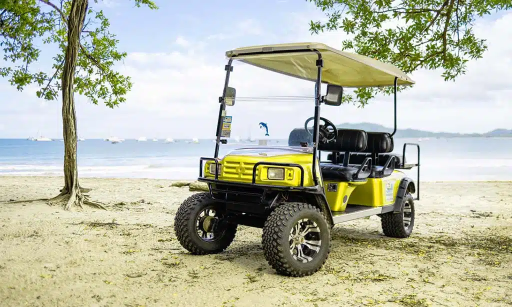 Palmetto Custom Carts