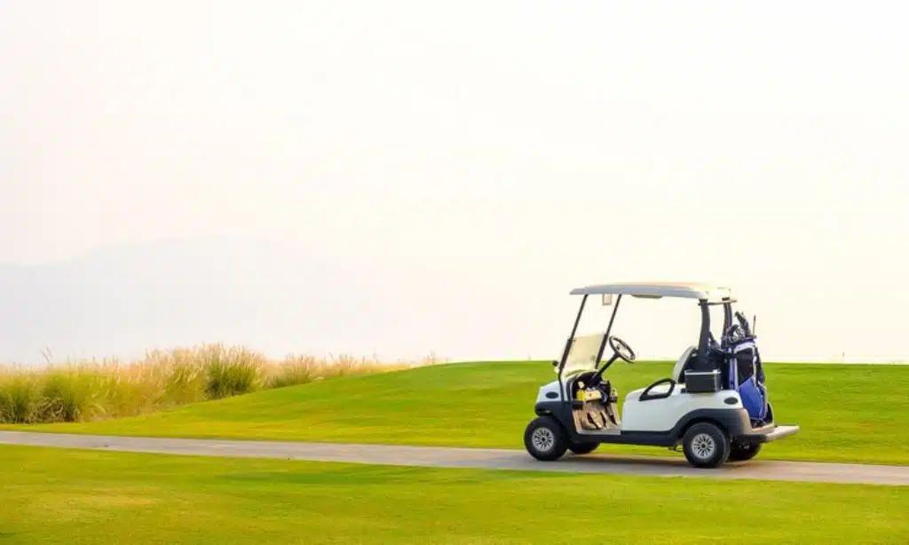 golf cart dealers in Georgia with customization options