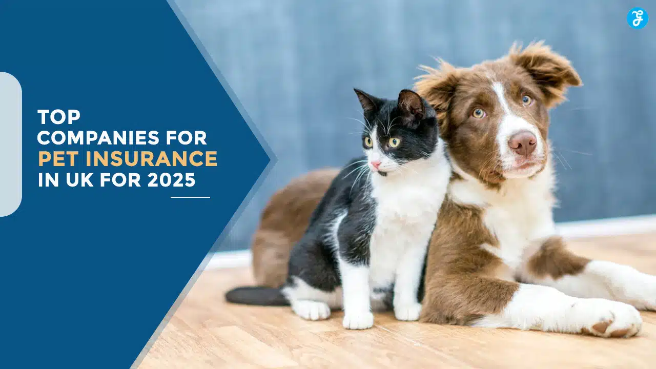 Pet Insurance Companies in the UK