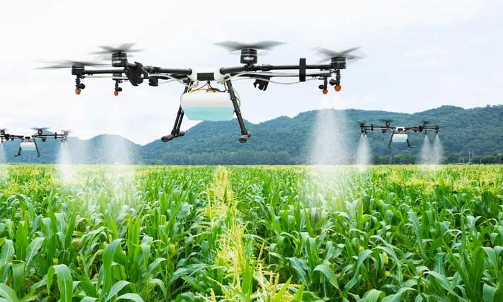 Plant-Based and Lab-Grown Meat