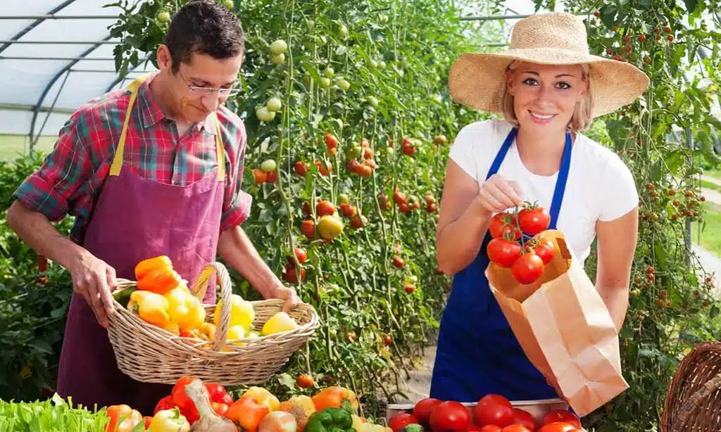 Promotes Seasonal Produce