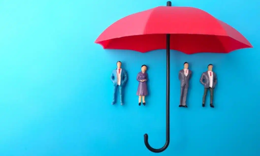 Provides High Coverage Amounts