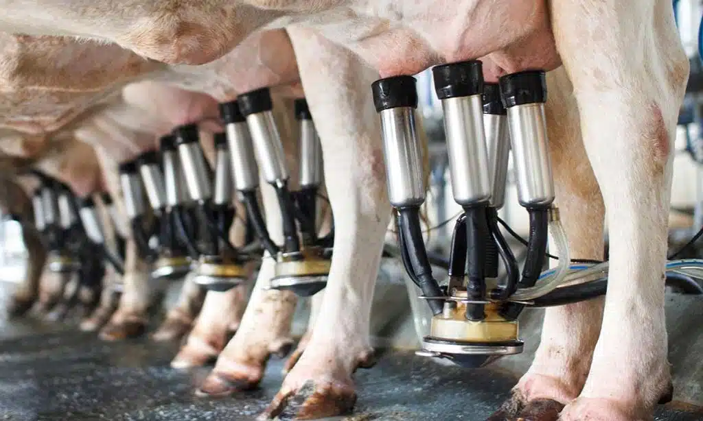 Robotic Milking Systems