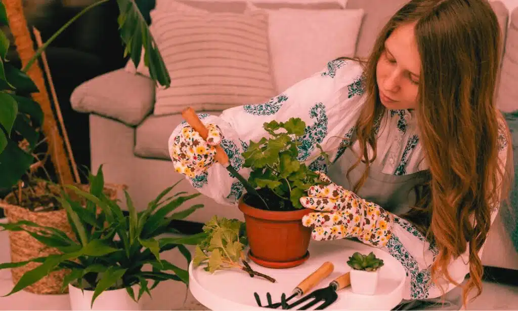 Select Plants That Thrive Indoors