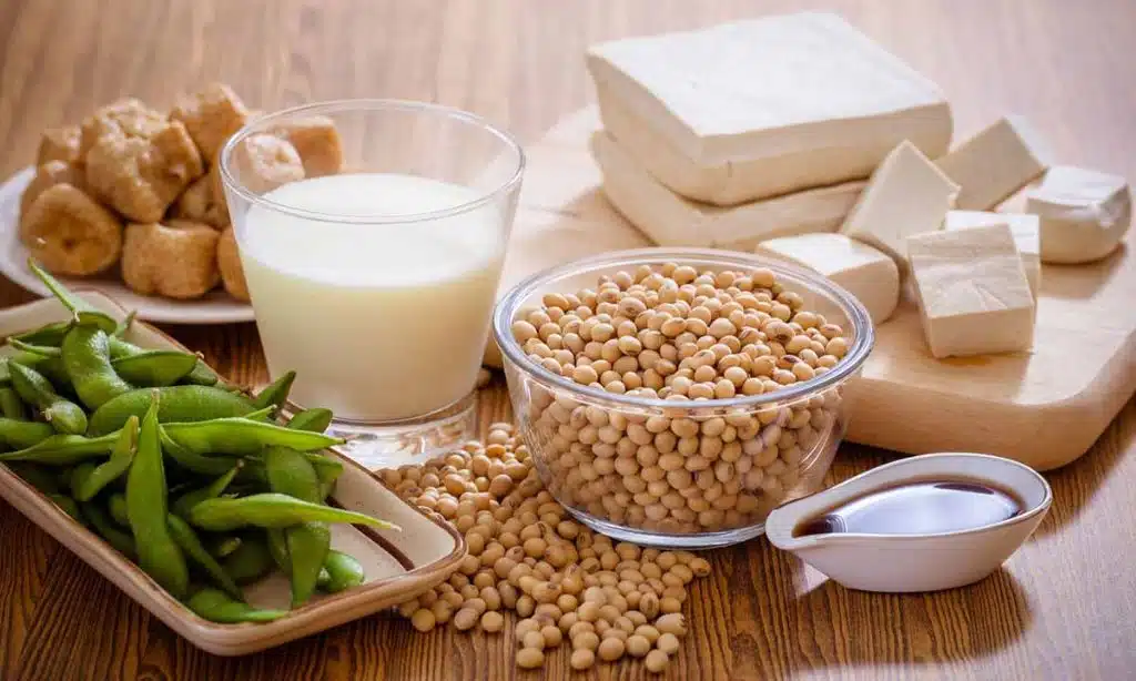 Eco-Friendly Materials