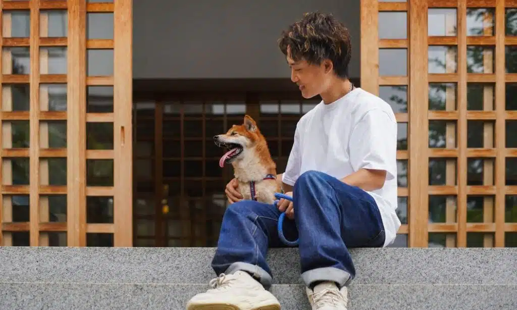 Provide Adequate Physical Exercise