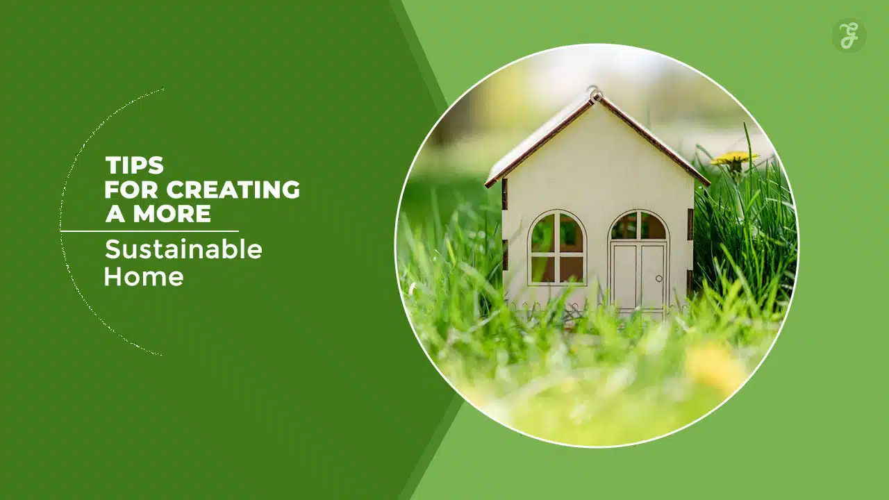 Tips for Creating a Sustainable and Eco-Friendly Home