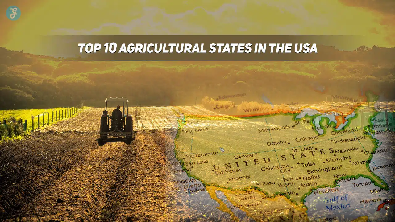 Top Agricultural States in the USA