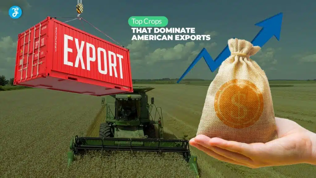 Top crops that dominate American exports
