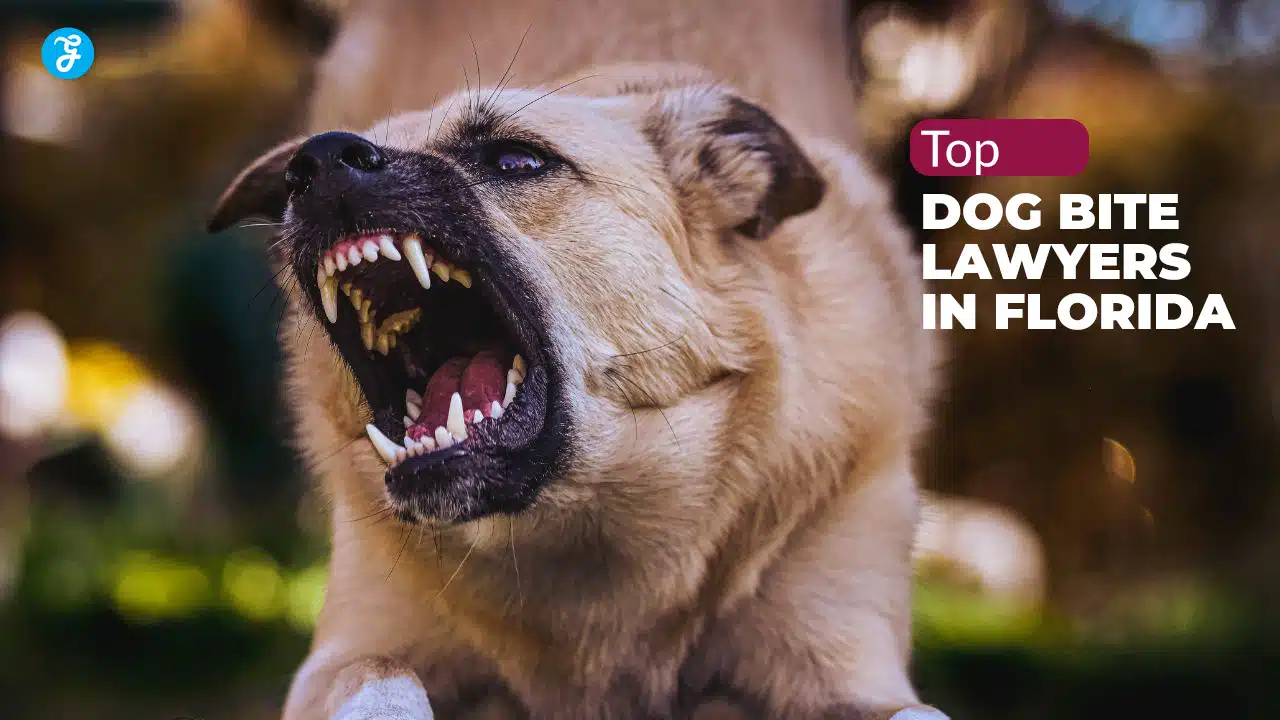Dog Bite Lawyers in Florida