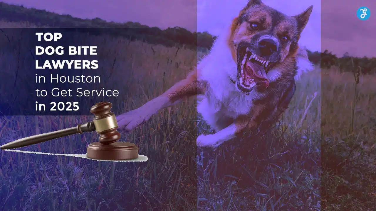 Dog Bite Lawyers in Houston