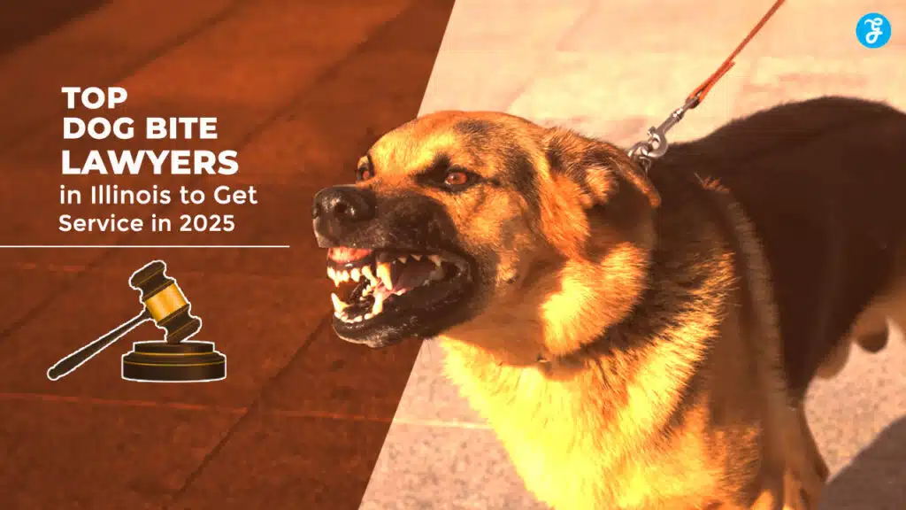 Dog Bite Lawyers in Illinois