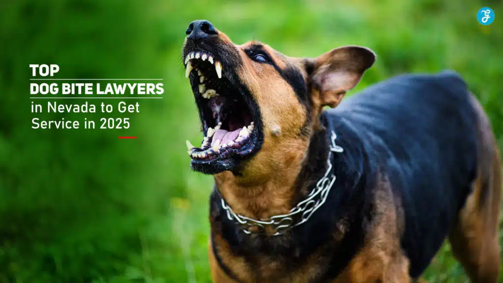 Dog Bite Lawyers in Nevada