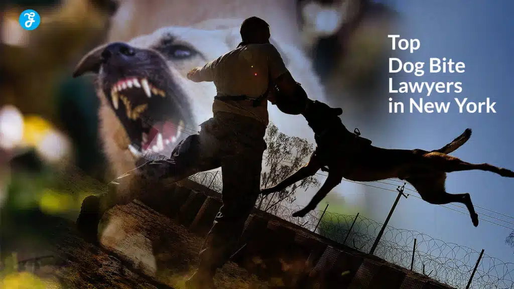 Top 10 Dog Bite Lawyers in New York