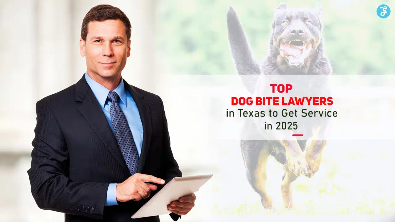 Dog Bite Lawyers in Texas