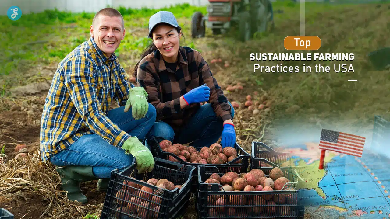 Sustainable Farming Practices in the USA