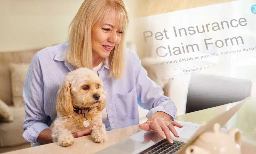 Top pet insurance companies in the USA