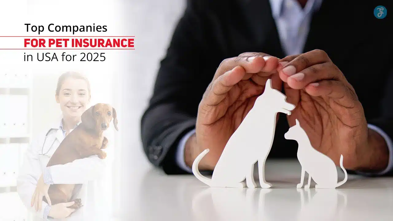 Pet Insurance Companies in the USA